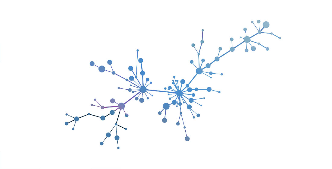 L’importanza del network – grafi e connessioni